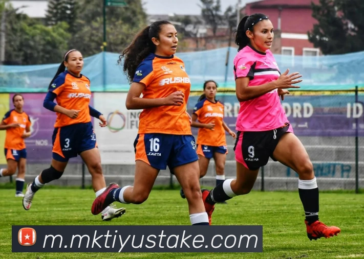 App Interface Preview