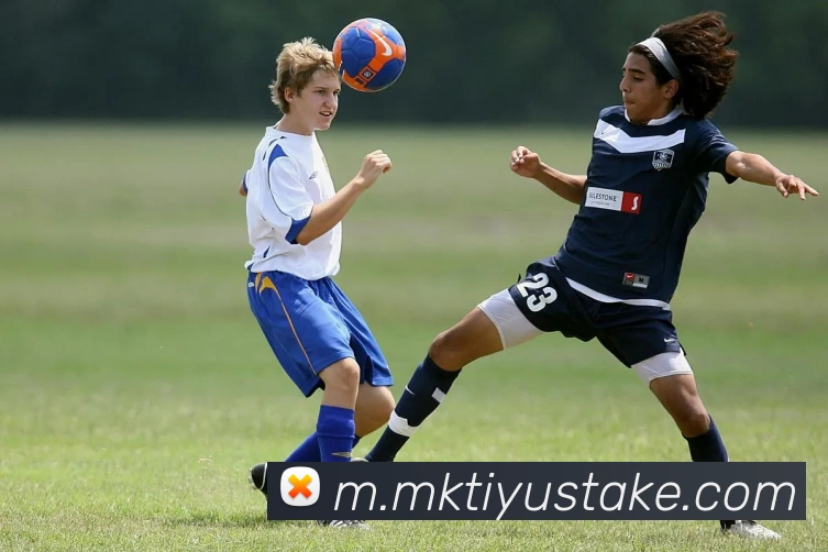 MK体育APP 封面图